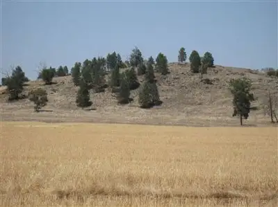 Second view of Homely rural property listing, . 'Peronne', Ungarie NSW 2669