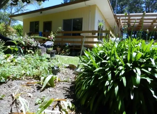 Third view of Homely rural property listing, 319 Christies-Albert River Road, Hiawatha VIC 3971
