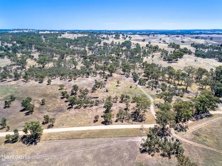 Fourth view of Homely rural property listing, Lot 537 Murray Road, Keyneton SA 5353