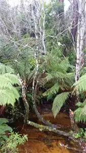 Second view of Homely land listing, lot 14 Arthur Street, Queenstown TAS 7467