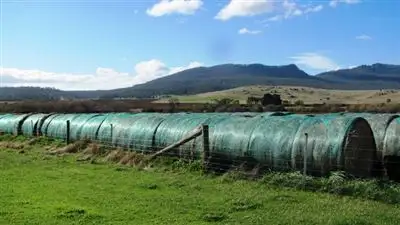 Sixth view of Homely rural property listing, 6013 Esk Main Road, Fingal TAS 7214