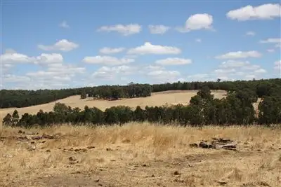 Seventh view of Homely rural property listing, 1511 NAYLOR YATES RD, Bridgetown WA 6255