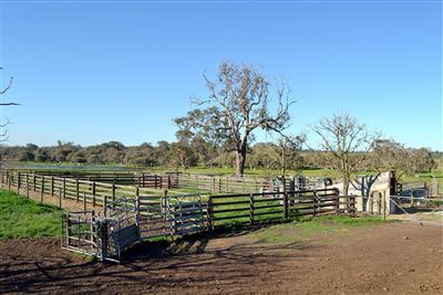 Sixth view of Homely rural property listing, 1770 Beermullah Road West, Beermullah, Gingin WA 6503