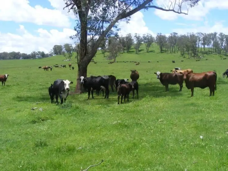 "Mt Slow"/1057 Mount Slow Road, Glencoe NSW 2365