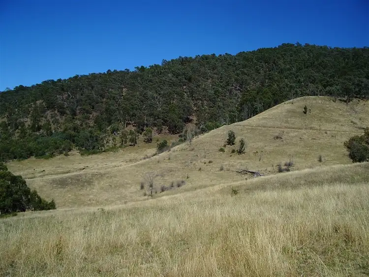 Seventh view of Homely rural property listing, 39 Connleys Lane, Omeo VIC 3898