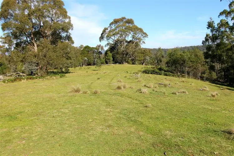 Third view of Homely rural property listing, Cnr Araluen Road and Monga Lane Reidsdale, Braidwood NSW 2622