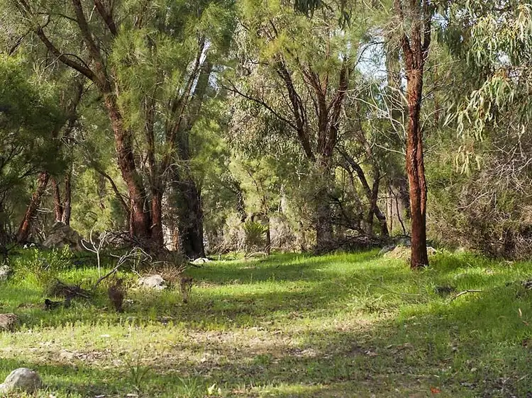 134 Ramahan Rise, Lake Clifton WA 6215