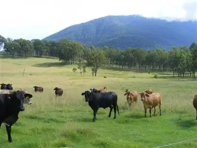 Fifth view of Homely rural property listing, "Kintyre"/9472 Old Grafton Rd, Glen Innes NSW 2370