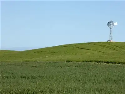 Sixth view of Homely rural property listing, 2117 Senior Road, Bordertown SA 5268