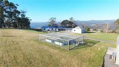 Fourth view of Homely rural property listing, 431 Los Angelos Road, Swan Bay TAS 7252