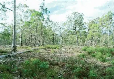 Second view of Homely land listing, Lot 63 Lake View Road, Lake Leake TAS 7210