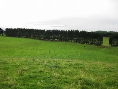 Fourth view of Homely rural property listing, 27444 Bass Hwy, Marrawah TAS 7330