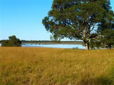 Main view of Homely rural property listing, . Bunbury Road, Keith SA 5267