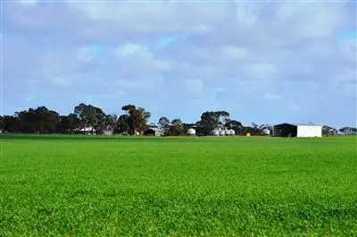 Main view of Homely rural property listing, 562 Allenby Corner, Lameroo SA 5302