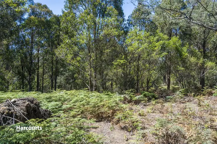 Fourth view of Homely land listing, Lot 1 Fyfes Road, Mountain River TAS 7109