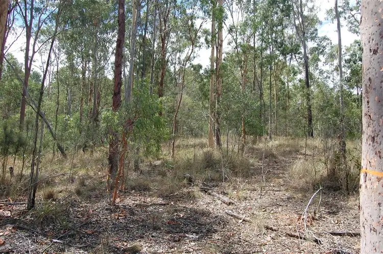Second view of Homely land listing, Lot 13 Beattie Road, Mundoolun QLD 4285
