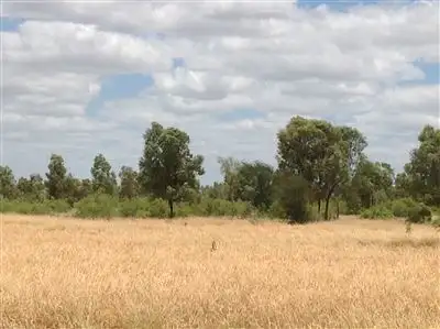 Fifth view of Homely rural property listing, . Cheltenham Station, Torrens Creek QLD 4816