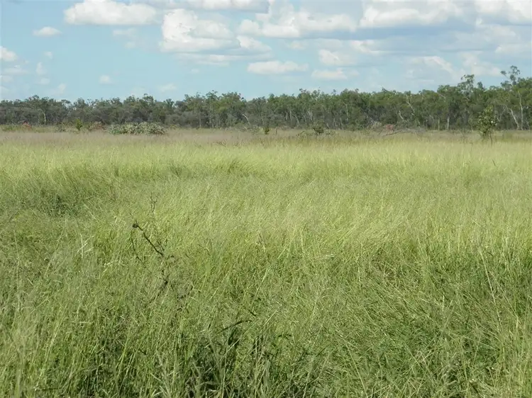 Main view of Homely rural property listing, " Lilyvale", Dingo QLD 4702