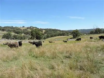 Fourth view of Homely rural property listing, Address available on request