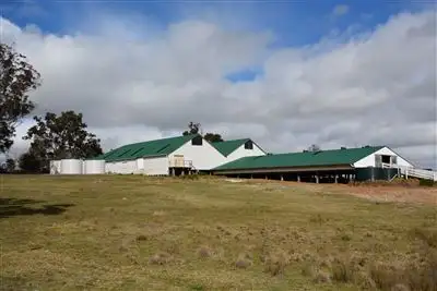 Sixth view of Homely rural property listing, 'Kyabra Station', New England Highway, Kentucky NSW 2354