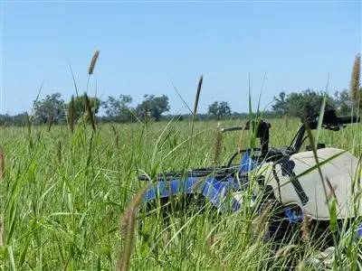 Third view of Homely rural property listing, . Seventeen Mile, Roma QLD 4455