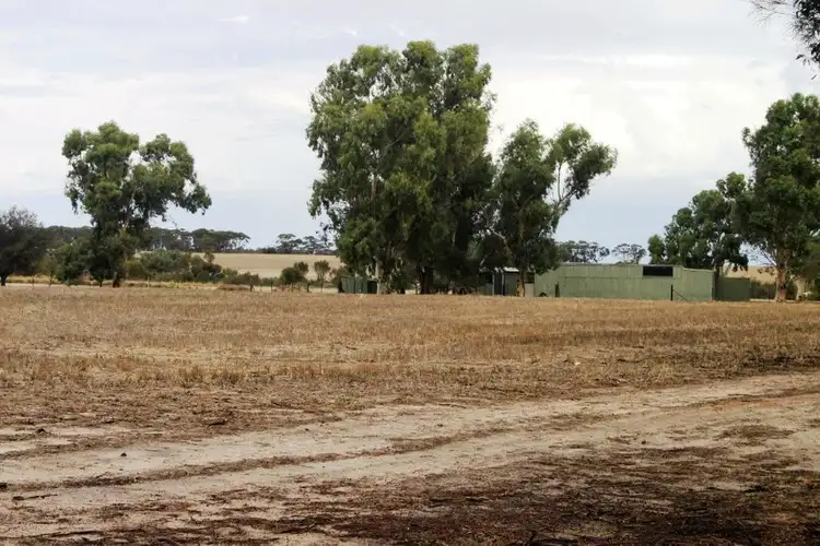 Third view of Homely house listing, 1064 Waddington - Wongan Hills Rd, Piawaning WA 6572