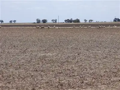 Seventh view of Homely rural property listing, 81 Chandlers Road, Netherby via, Nhill VIC 3418