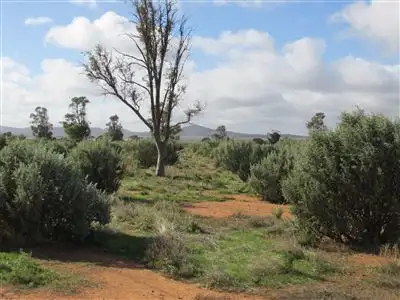 Fifth view of Homely rural property listing, 688 Minburra Road, Orroroo SA 5431