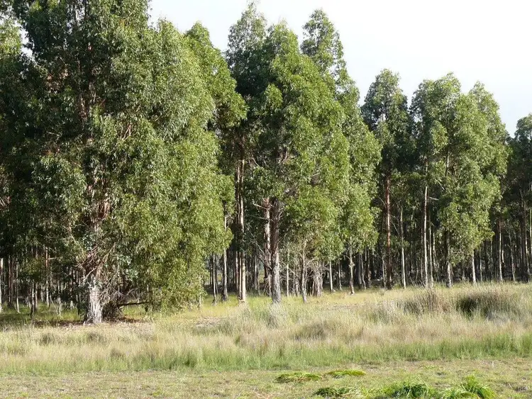 Third view of Homely rural property listing, Lot 20 Orleans Road, Esperance WA 6450