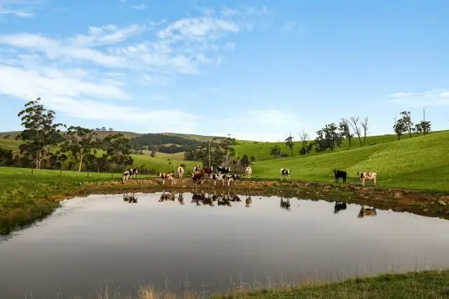 Fourth view of Homely rural property listing, 970 Nerrena Road, Nerrena VIC 3953