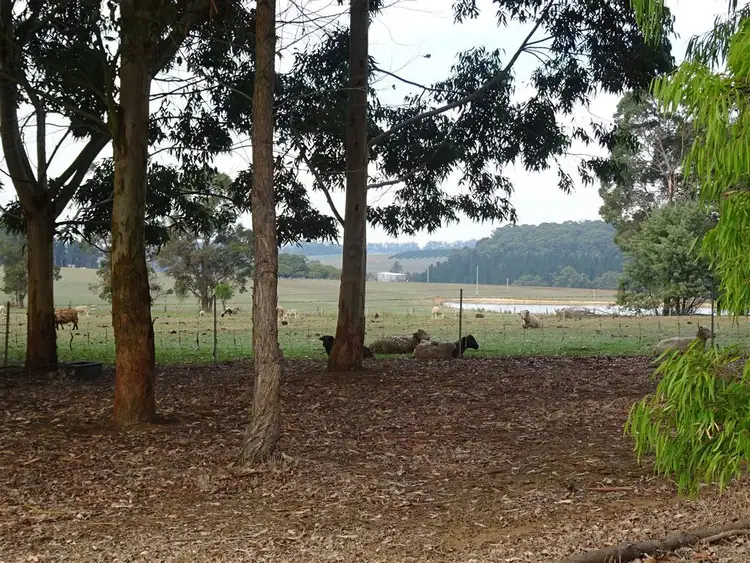 Fourth view of Homely rural property listing, 185 Towie Road, Manjimup WA 6258