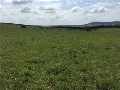 Main view of Homely rural property listing, Beedlings Mountain Ash Road, Goulburn NSW 2580
