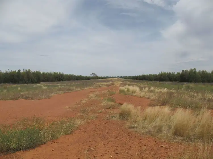 Sixth view of Homely rural property listing, . Talganna, Ungarie NSW 2669