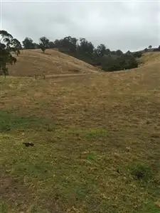 Fourth view of Homely rural property listing, Lot 1 Albert River Road, Staceys Bridge VIC 3971