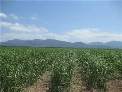 Second view of Homely rural property listing, Address available on request