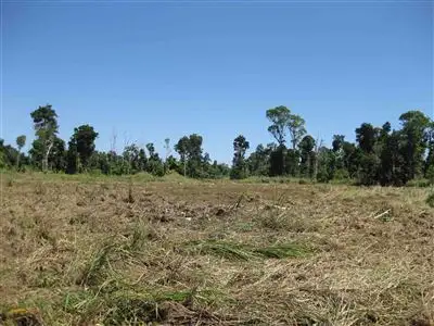 Main view of Homely rural property listing, Address available on request