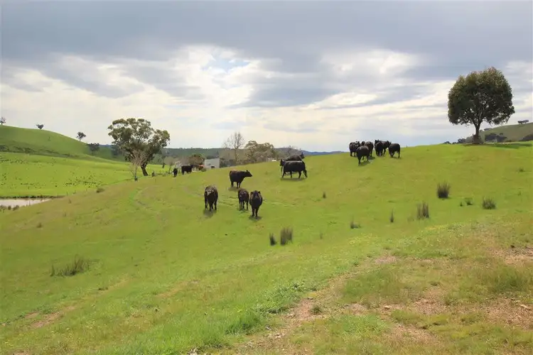 Second view of Homely rural property listing, 267 Evans Rd Woodfield, Mansfield VIC 3722