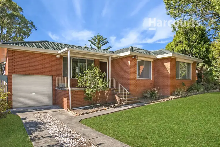 38 Raymond Avenue, Campbelltown NSW 2560