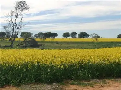 Main view of Homely rural property listing, Address available on request