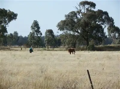 Fourth view of Homely rural property listing, Crn Engi & Fogarty's Roads, Raywood VIC 3570