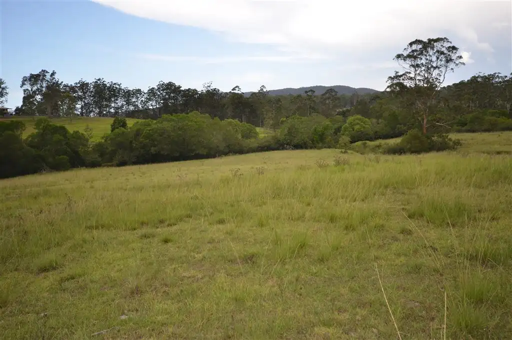 Main view of Homely rural property listing, Lot 2/1161 Pipeclay Rd, Pipeclay NSW 2446