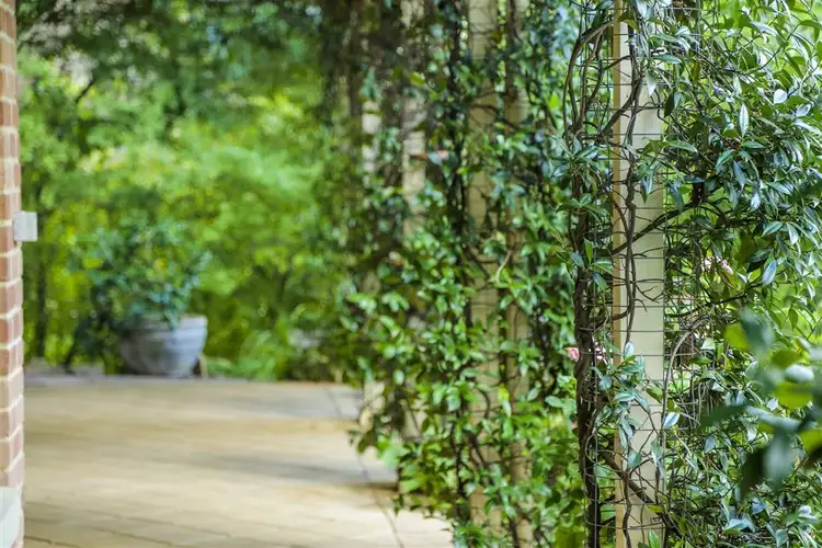 Third view of Homely house listing, 11 Surrey Road, Aldgate SA 5154