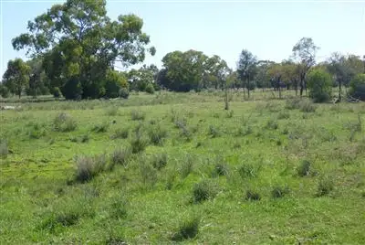 Seventh view of Homely rural property listing, " Gundaur", Nyngan NSW 2825