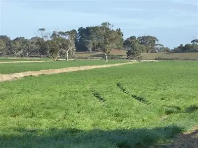 Fifth view of Homely rural property listing, 389 Nichols Road, Keith SA 5267