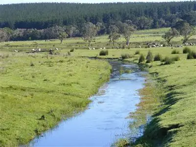 Second view of Homely rural property listing, 137 Sporer's Lane, Mount Burr SA 5279