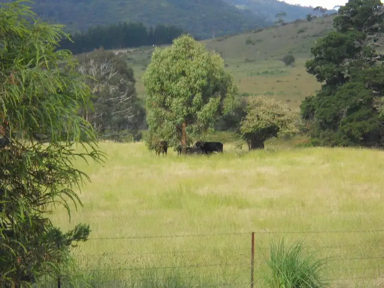 Sixth view of Homely rural property listing, 74 Wyanbene Road Wyanbene Via, Braidwood NSW 2622