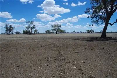 Third view of Homely rural property listing, . Middle Route Road, Burren Junction NSW 2386