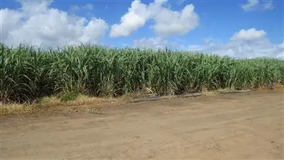 Seventh view of Homely rural property listing, 121-165 Moody Road, Jarvisfield QLD 4807