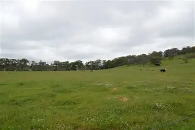 Main view of Homely rural property listing, VioletDale/. Ryanda Creek Road, Ben Lomond NSW 2365
