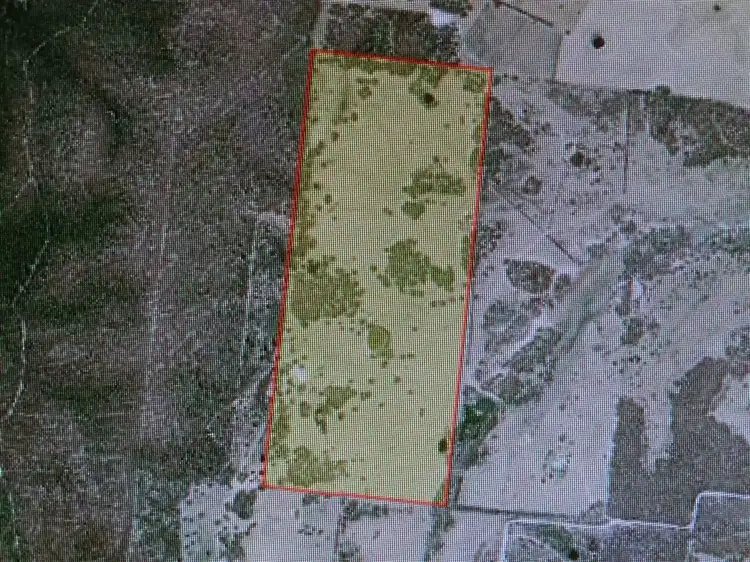 Sixth view of Homely rural property listing, 566 Tickner Valley Road, Marulan NSW 2579